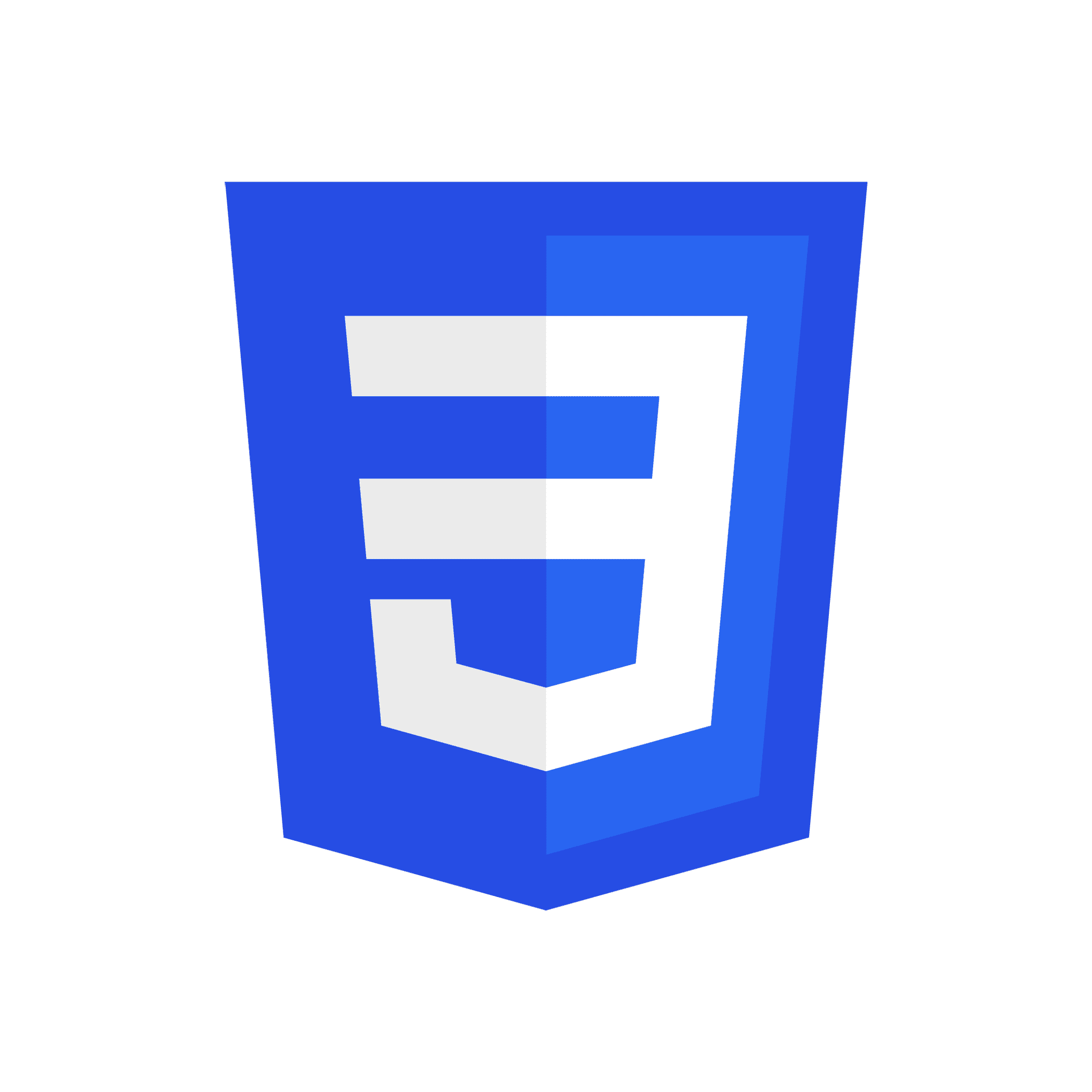 CSS Logo